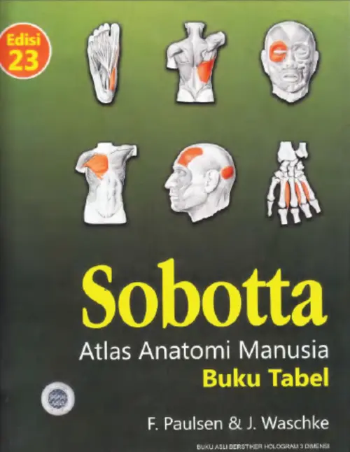 Book cover for Sobotta Atlas Anatomi Manusia Buku Tabel Edisi 23